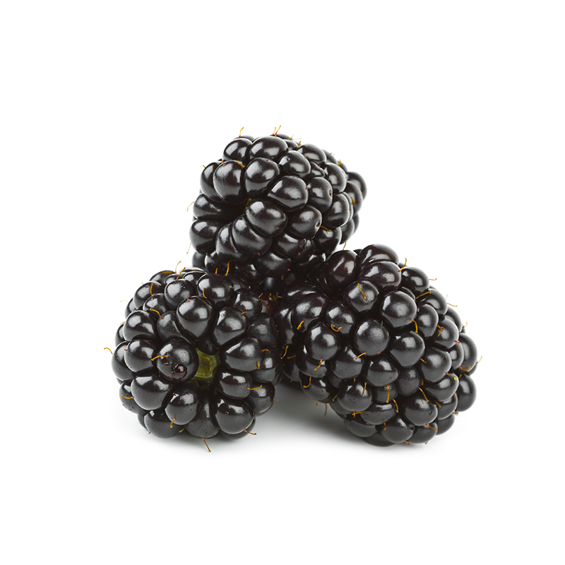 125g Mûres