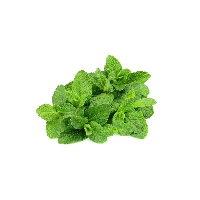 80g Menthe
