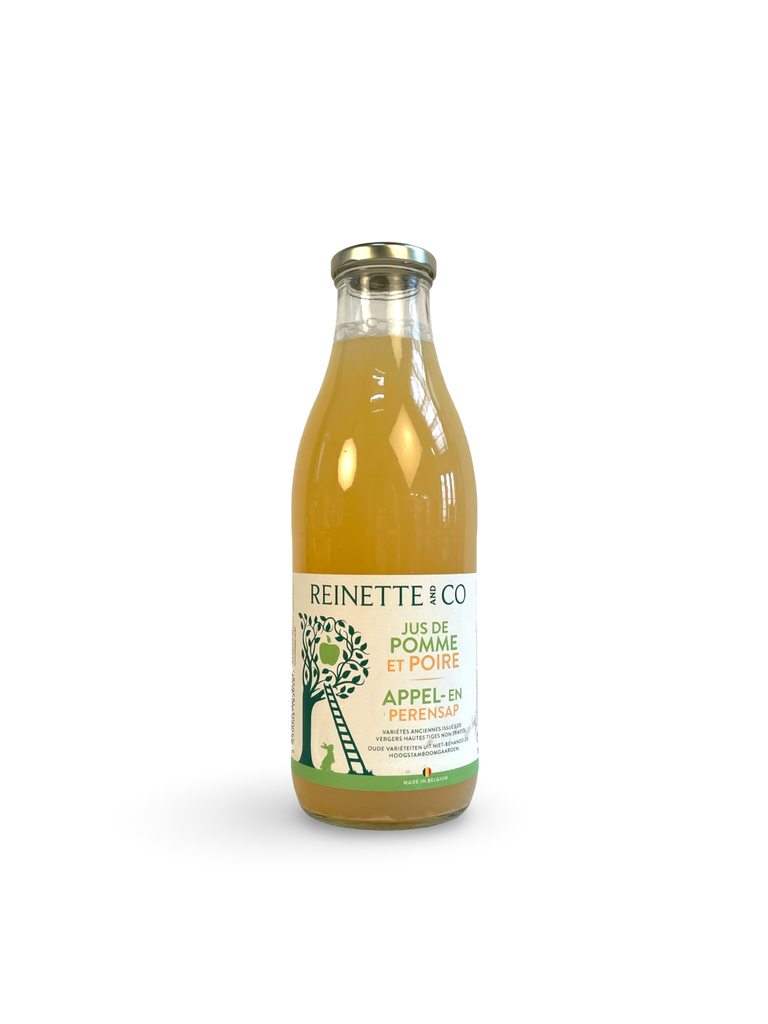1L Appel Peer Sap