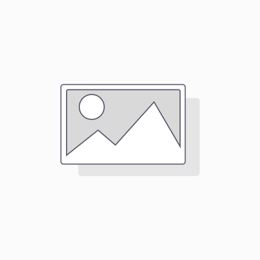 20x44g Tortilla Cheese Chips